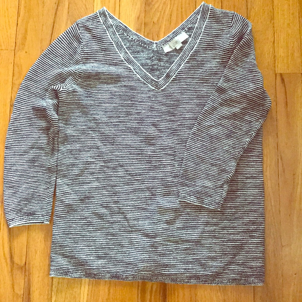 Loft V Neck sweater